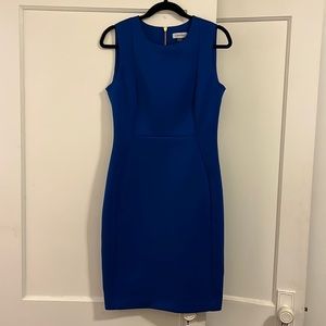 Blue Calvin Klein Dress